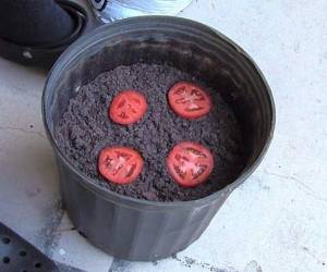 Un experimento que vale la pena ejecutar en nuestras casas.