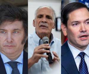 En un comunicado en conjunto, los países de: Costa Rica, Bolivia, Ecuador, Panamá, Paraguay, Perú y República Dominicana, también reaccionaron a la declaratoria realizada por el CNE.