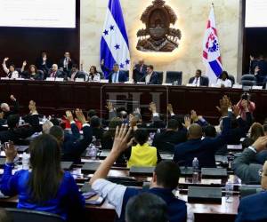 El Poder Legislativo aprobó por unanimidad la ley que fue mocionada desde el Consejo de Defensa y Seguridad.