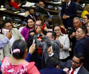 La bancada de Libertad y Refundación (Libre) mantienen su postura en contra de las reformas al sector energético, sosteniendo que estas llevarán a la privatización de la ENEE.