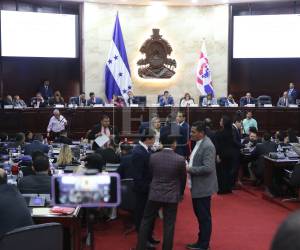 Presentan nómina de candidatos sustitutos para integrar el CNE y el TJE.