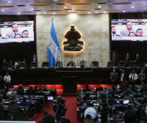 Este viernes se eligen a los demás integrantes de la Junta Directiva del Congreso Nacional.