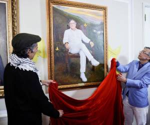 La obra muestra a Petro de cuerpo entero, vestido de blanco y con zapatos deportivos del mismo color, sentado en un sillón y con un lápiz en la mano izquierda, un gesto que suele repetir cuando habla desde el atril en sus discursos, rodeado por tres mariposas amarillas que representan la obra del nobel Gabriel García Márquez.
