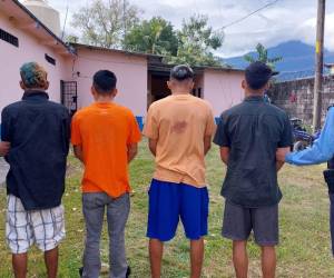 Los capturados realizaban sus actividades delictivas en La Ceiba.