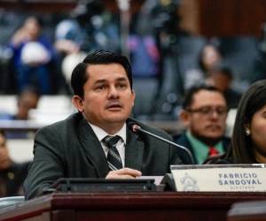 El parlamentario afirmó que no debe nada y por eso se presentará voluntariamente ante la justicia.