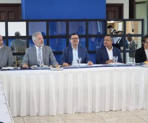 Autoridades de Honduras y Brasil se reunieron para fortalecer la cooperación entre ambas naciones en el sector agrícola.