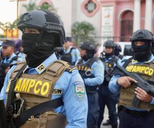 La Dipampco fue creada el 20 de julio de 2022 mediante acuerdo PCM 1417-2022.