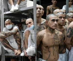 Una comitiva de diputados hondureños, encabezada por el presidente del Congreso Nacional, Tomás Zambrano, visitó el Centro de Confinamiento del Terrorismo (Cecot), en El Salvador, para conocer las medidas de seguridad y el modelo de administración penitenciaria aplicado en ese país. Tras el recorrido, la delegación identificó varias prácticas que considera que podrían adaptarse a Honduras. ¿Cuáles son?