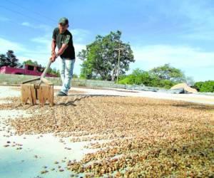 Actualmente no se supervisan los controles de medidas y de humedad del grano, según representantes de los productores.