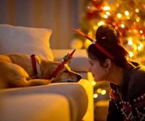 La mejor parte de estas fiestas es poder vivirlas junto a quienes más queremos, incluidas nuestras mascotas.