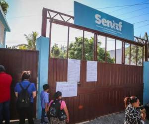 La Secretaría de Niñez, Adolescencia y Familia (SENAF) revisará expedientes de adopción para detectar posibles irregularidades.