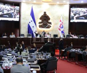 El dictamen fue presentado este martes en el Congreso Nacional.