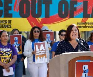 El objetivo de los defensores es mantener la presión para frenar las redadas migratorias.