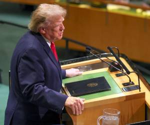 Trump agregó convencido que la seguridad y la protección llegarán a México y se dijo orgulloso de tener buena relación con el Gobierno de México.