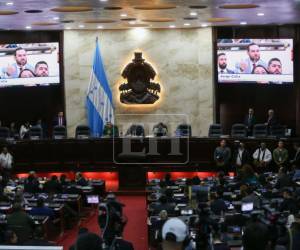 Ahora que se definió la Junta Directiva provisional, hasta el próximo 23 de enero se conocerá la Junta Directiva propietaria.