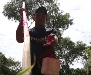 Los campesinos en el corredor seco comenzaron a sembrar a inicios de junio, un mes después de lo previsto debido al retraso en las lluvias.