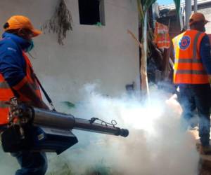 Más de 3,500 viviendas serán fumigadas contra el dengue en la capital. Autoridades pidieron a la población permitir el ingreso solo al personal de salud debidamente identificado.