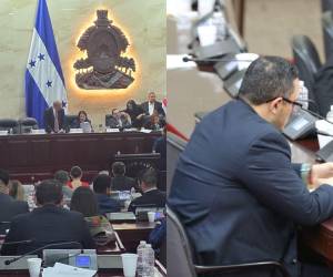 ¿Qué pasó con Edgardo Casaña? Luego de aprobar un código de vestimenta en el Congreso Nacional (CN), así se presentó el diputado de Santa Bárbara a la sesión de este 18 de febrero en el Poder Legislativo.