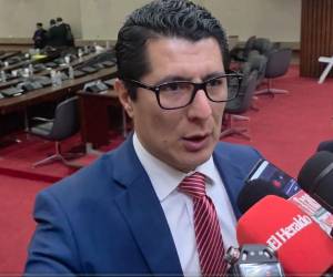 Francis Cabrera denunció que ha recibido amenazas por la reforma aprobada para quitar funciones administrativas a la presidenta de la CSJ.