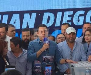 Además, cuestionó el lentísimo ritmo del escrutinio por el sistema de divulgación de datos de la empresa ASD.