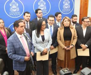 La Comisión Especial de Selección es la encarga de seleccionar a los mejores postulantes.