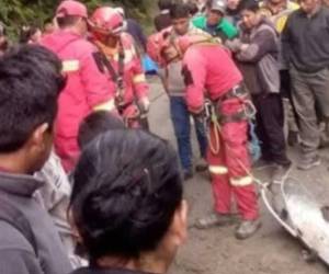 Bomberos y rescatistas trabajan en el lugar donde un autobús cayó por un barranco en la carretera hacia los Yungas, en La Paz, Bolivia.