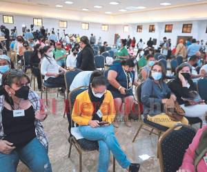 El pasado miércoles 17 de agosto, 53 organizaciones de la sociedad civil eligieron a Martha Dubón y Tomás Andino como sus dos representantes en la Junta Nominadora.