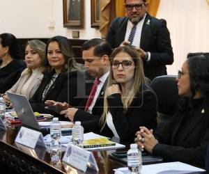 La audiencia inició tras la presentación de un recurso de amparo por parte del magistrado antes la secretaría del Legislativo.