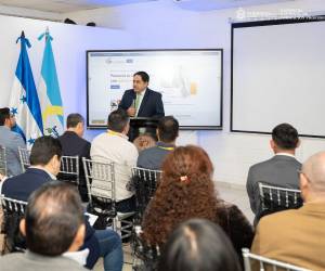 Las autoridades del Instituto de Formación Profesional lanzaron oficialmente la plataforma para que los hondureños reciban cursos gratuitos.