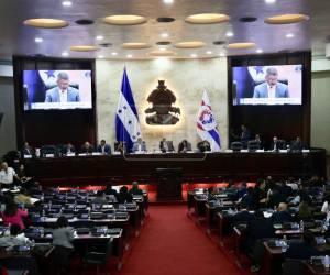 El Legislativo ratifica de forma temporal las presidencias del CNE y TJE mientras resuelve los nombramientos. Las normas regirán dos meses.