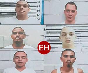 De izquierda a derecha y de arriba hacia abajo: Román A. Valladares, Marlon Mejía, Brayan Cardona, Ramón Isaac Padilla, Rafael Amador y Óscar Fúnez.