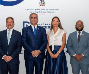 El secretario ejecutivo del CNI, Epaminondas Marinakys, participó como panelista junto a representantes del sector público y privado de Honduras y RD.