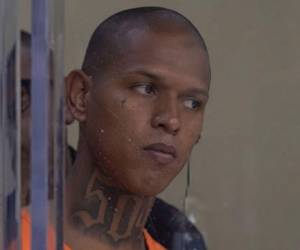 El medio estadounidense KRGV Channel 5 reveló nuevos detalles acerca del cuádruple homicidio cometido por el honrueño Christian Maldonado Pacheco en contra de una familia en San Benito, Texas, Estados Unidos. Conozca los nuevos hallazgos a continuación.