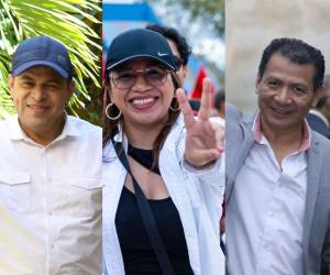 Luego de la destitución del exconsejero Marlon Ochoa y de la renuncia de la consejera suplente Karen Rodríguez en el Consejo Nacional Electoral (CNE), este domingo cierran las vacantes para los candidatos que aspiren a ocupar estos cargos. Estos son algunos de los autopostulantes que han entregado la documentación.