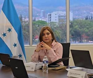 La consejera Ana Paola Hall celebró el retorno de sesiones en el Consejo Nacional Electoral.