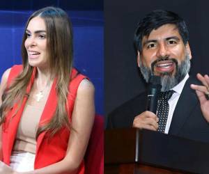 Las declaraciones de Kafati surgieron en respuesta al mensaje que emitió Zelaya, más temprano, en donde aseguró que el Ministerio Público (MP) permanece vigilante del proceso electoral.