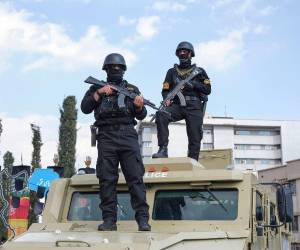 El diplomático afirmó que un alto el fuego “significa una pausa para reagruparse y rearmarse con el fin de continuar el crimen.