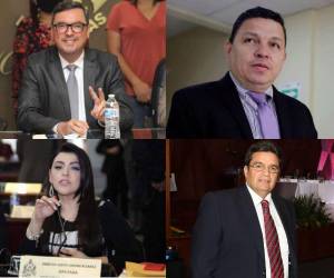 Un total de 19 hombres y siete mujeres oficializaron su candidatura y aspiran a los cargos de fiscal general y fiscal adjunto para el período 2023-2028. Entre los postulantes destacan la actual funcionaria Lesly Sarahí Cerna (ministra de Trabajo y Seguridad Social), Luis Javier Santos (jefe de la Uferco), Mario Urquía (militante de Libre y presidente de la anterior Junta Nominadora) Yuri Melara (exfiscal) y Sobeyda Andino (exdiputada). A continuación los rostros de los aspirantes.
