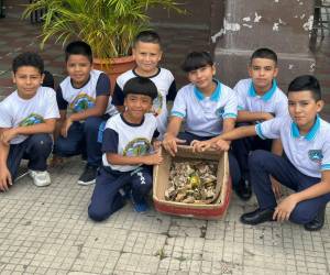 Estudiantes del CEB Lempira que integran el Comité Ambiental, muestran con orgullo el compostaje creado durante el taller práctico en Escuelas Amigables con el Ambiente.
