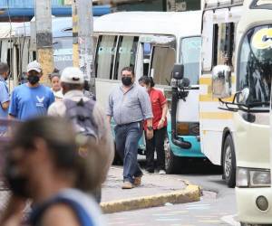 Unas 1,500 unidades de transporte urbano circulan en la capital, pero en la actualidad el IHTT trabaja en un nuevo censo.