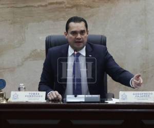 Tomás Zambrano mientras se dirigía a los diputados en el hemiciclo.