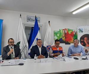 En Coordinador Residente de Naciones Unidas, Alejandro Alvarez; el presidente de la Amhon, Juan Carlos Molina; el ministro de Copeco, Reinaldo Sanchez y el ministro de la presidencia, Juan Carlos García, participaron en la reunión con los alcaldes de los 33 municipios priorizados.