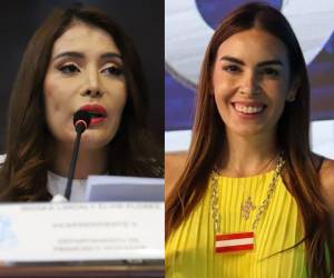 Las diputadas Iroshka Elvir y Alia Kafati desataron la polémica en redes sociales luego que tuvieran un fuerte cruce. Las parlamentarias mezclaron temas familiares y generaron diversos comentarios.