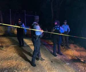 Elementos de la Policía Nacional llegaron hasta la escena del crimen.