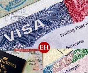 El gobierno de Estados Unidos anunció la disposición de un total de 35,000 visas H-2B para Honduras, Haití, Guatemala y El Salvador. De esas, un total de 11,500 será para las personas que quieran obtener una visa de trabajo por primera vez. Conoce aquí cuáles son los requisitos y para qué trabajos están disponibles.