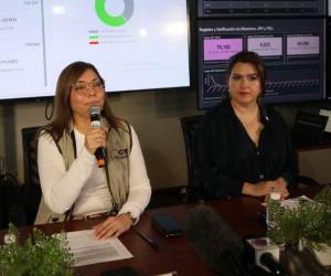 Las consejeras del CNE, Ana Paola Hall y Cossette López, presentaron sus licencias al Congreso Nacional para tener un puesto en el servicio exterior.