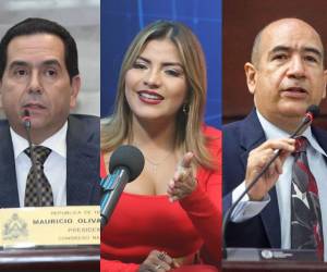 Mario Rivera del Partido Nacional, Saraí Espinal, del Partido Liberal y Godofredo Fajardo de la DC son parte de los diputados juramentados en la comisión para atender la crisis electoral en Guanaja.