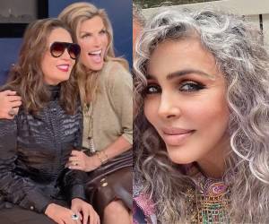 Un video que circula en redes sociales ha reactivado la conversación sobre la presunta relación sentimental entre Yolanda Andrade y Verónica Castro, un tema que ha estado presente en el espectáculo mexicano durante más de dos décadas.