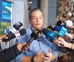 Fortín exhortó al Partido Nacional y al Partido Liberal a actuar con responsabilidad y facilitar el trabajo de sus representantes en los organismos electorales.