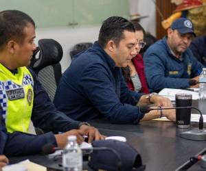 Según las autoridades municipales, más 225 vendedores se instalan diariamente en el paseo Liquidámbar, ubicado en el centro histórico de la capital.